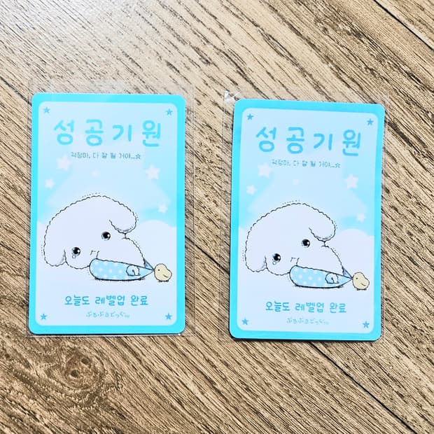 고전문구 산엑스 부르부르도그 포토카트 판매 오어스 콜라보