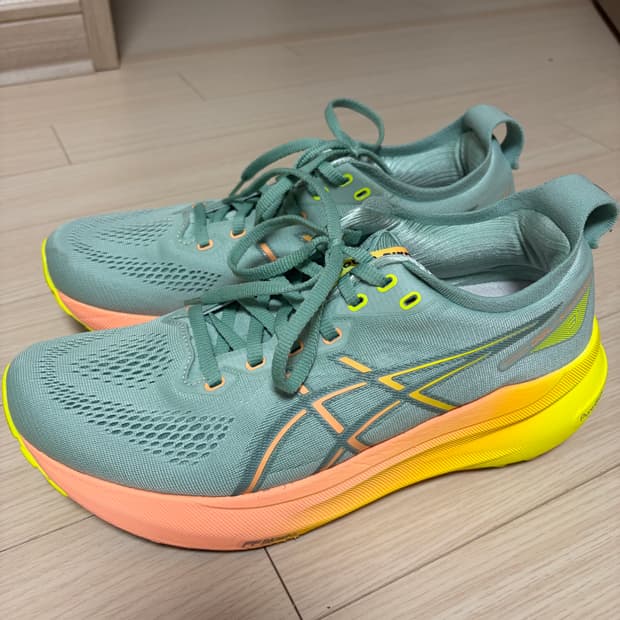 아식스 젤카야노31 파리 270