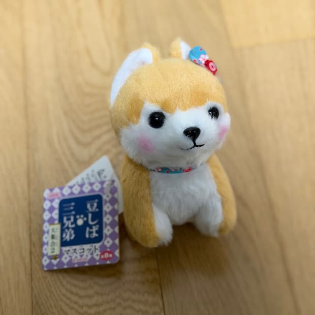 일본 어뮤즈 시바견 강아지 키링