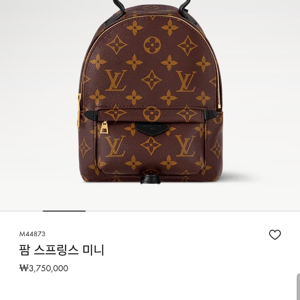 루이비통 팜스프링스 미니 백팩