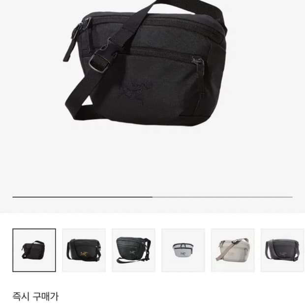 아크테릭스 맨티스 1 웨이스트백