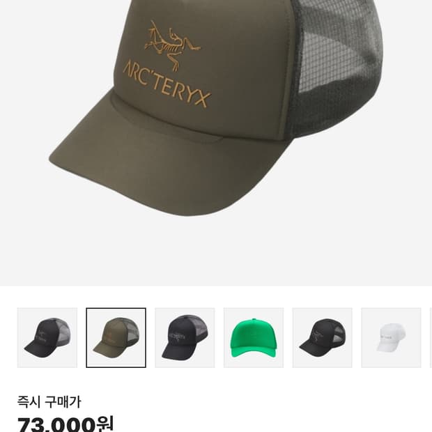 아크테릭스 캡모자