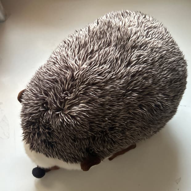거대 고슴도치 인형 