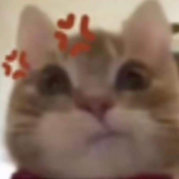 데님티어스 블랙 후디