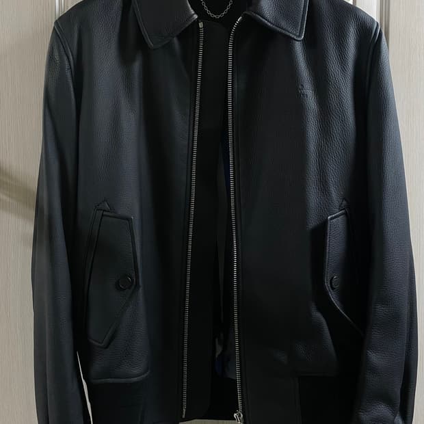 루이비통 사슴 가죽 자켓 무스탕 에비에이터