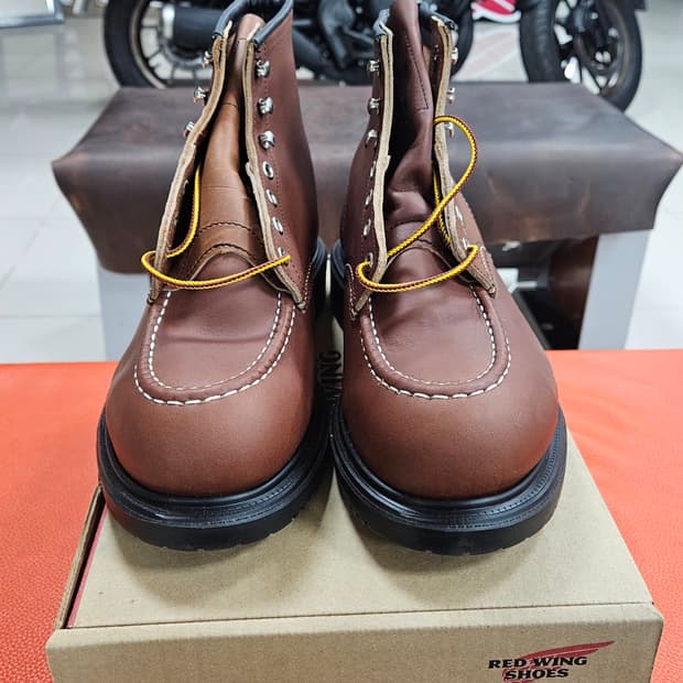 레드윙 6인치 목토 워크화, 안전화 8249, US9.5EEE
