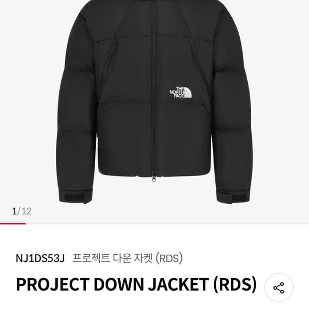 노스페이스 프로젝트 다운 자켓 L 새상품