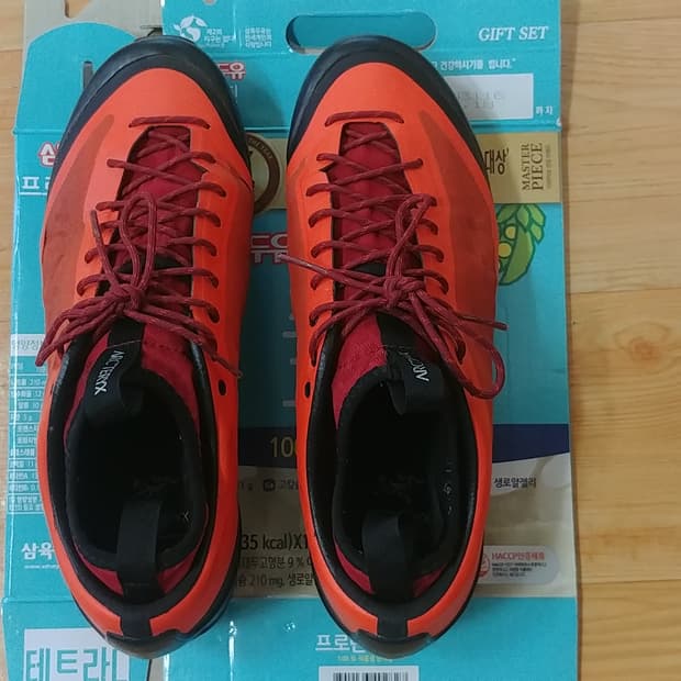 Arc'teryx Acrux FL Shoes - 넬슨 정품