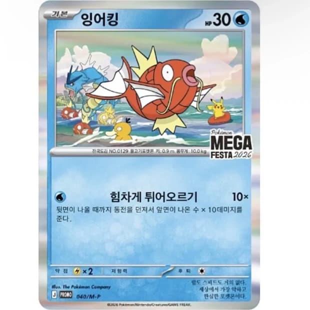 잉어킹 프로모카드 4장 일괄판매
