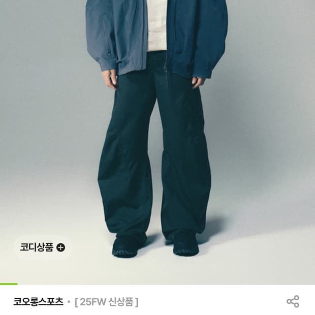 지용킴x코오롱 3D 카고 팬츠 xl사이즈팝니다.(카키그레이)