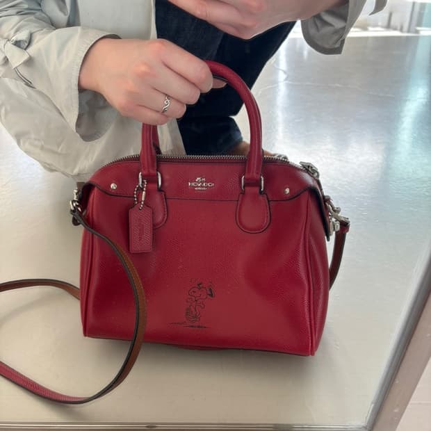 Coach X Peanuts Snoopy Leather Bag