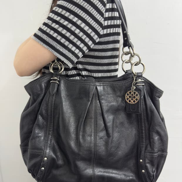 coach lether bag