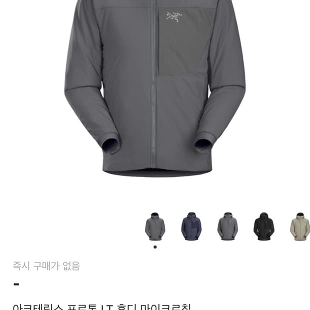 아크테릭스 프로톤 LT 후디 마이크로칩 구합니다!