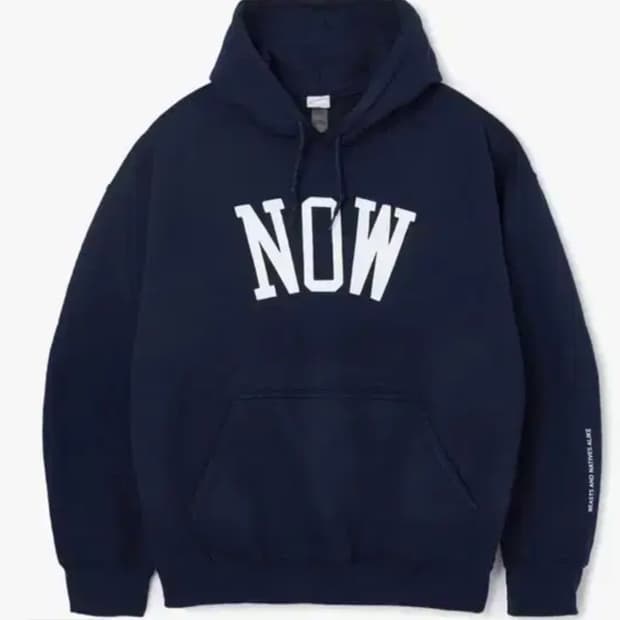 [L] 빈지노 노비츠키 후드티