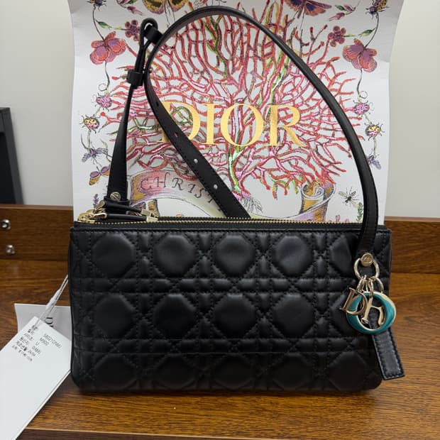 디올 가방