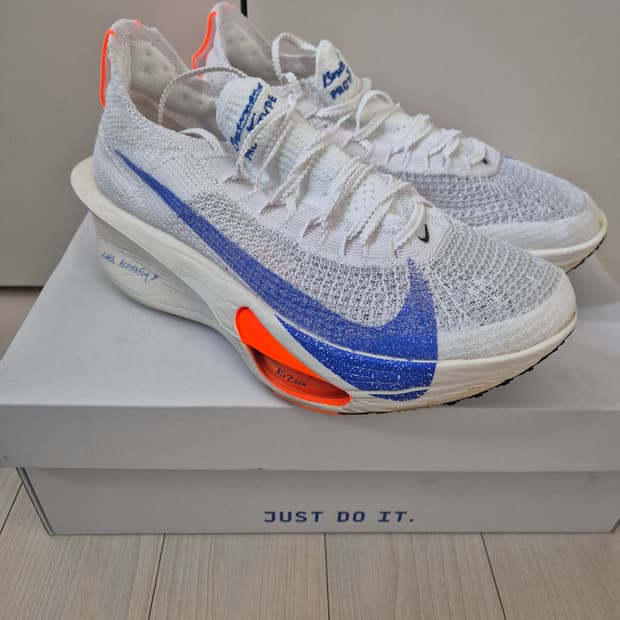 [255] 나이키 알파플라이3