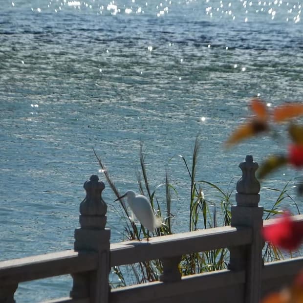 빈티지디카 / 후지필름 파인픽스 jx550