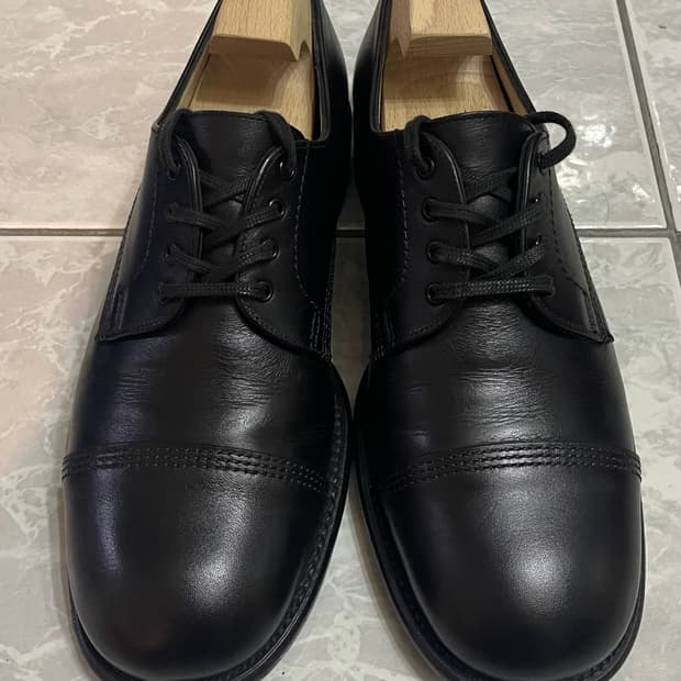 샌더스 BGS 더비