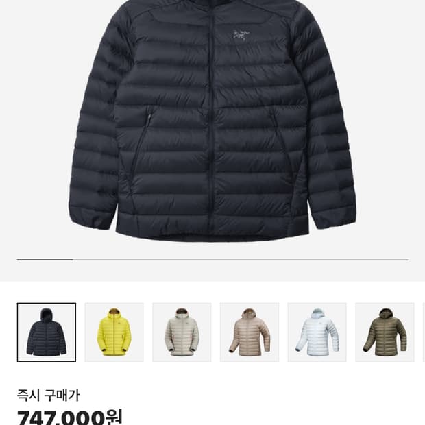 아크테릭스 세륨 s 블랙사파이어