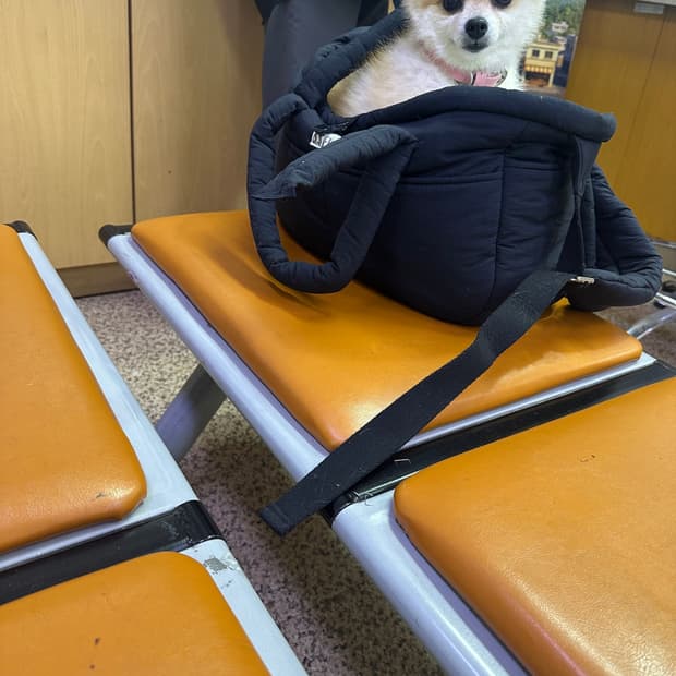 아카이브 소싱해드립니다.
