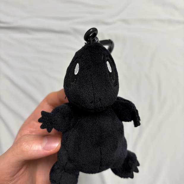 프라그먼트 파이리 키링