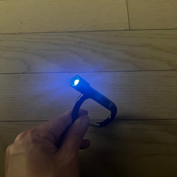 칼하트 카라비너