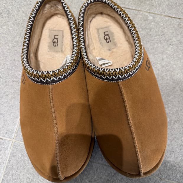 [270] 어그 타스만