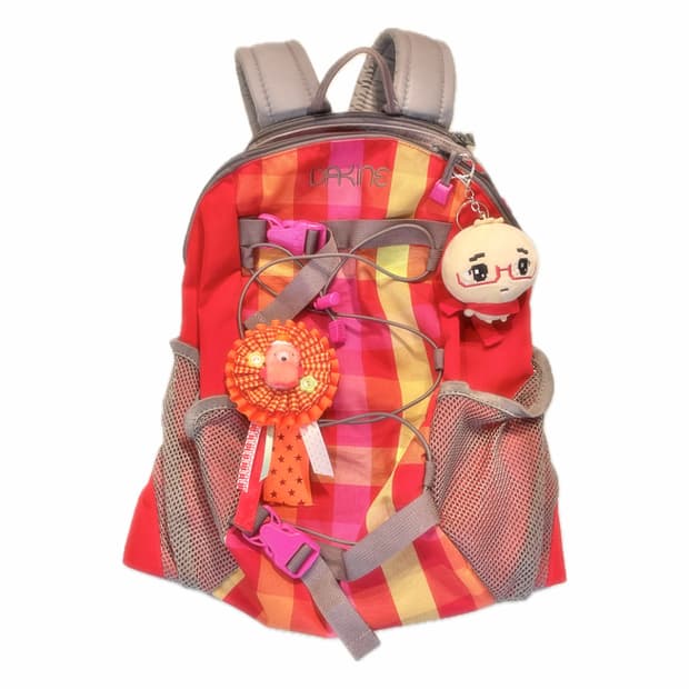 레드 체크무늬 dakine 백팩🎒