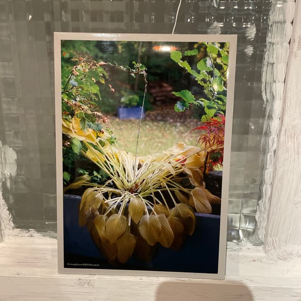 혁오 사랑으로 cd