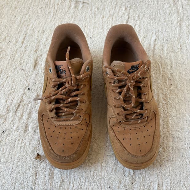 Nike 된장포스 230