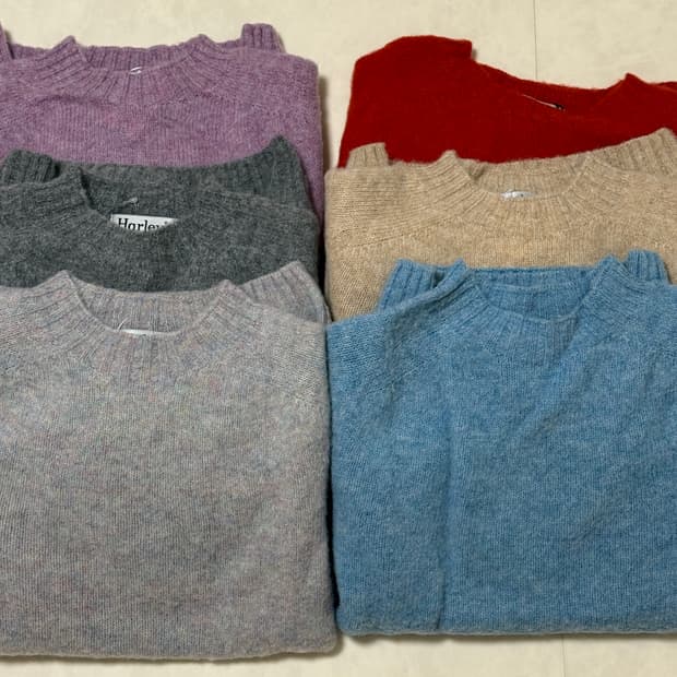 할리오브스코틀랜드 쉐기독