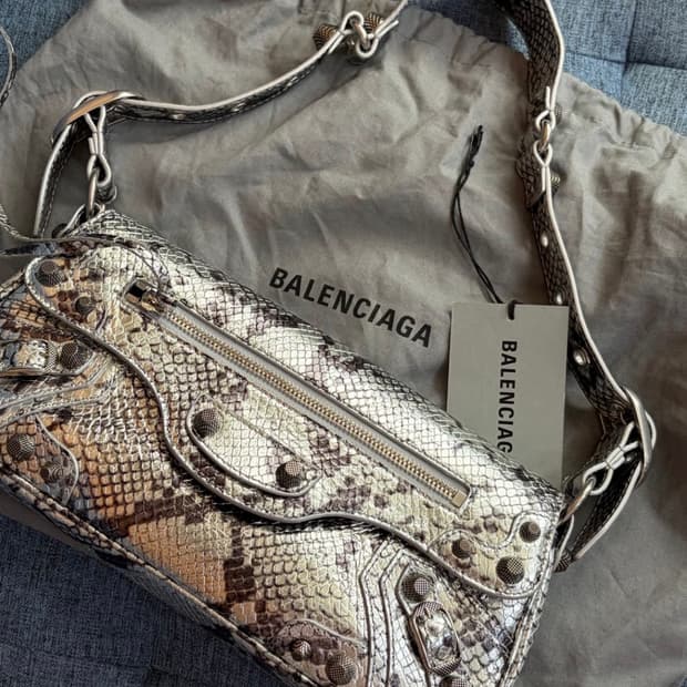 발렌시아가 르카골 실버백