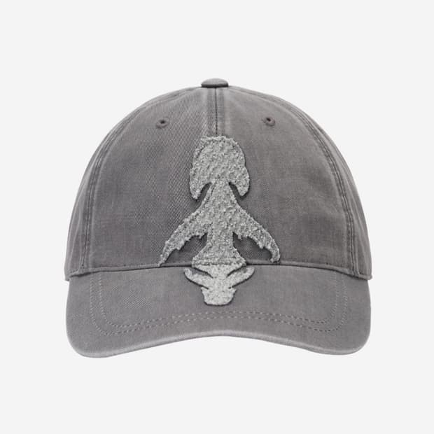 코이세이오 레그나 코지 캡