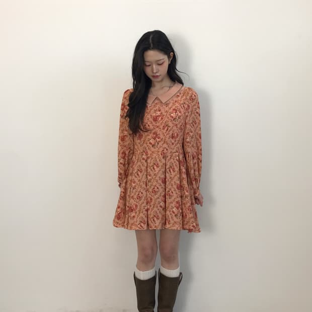 LIZ LISA Rose Double Collar Girly Dress