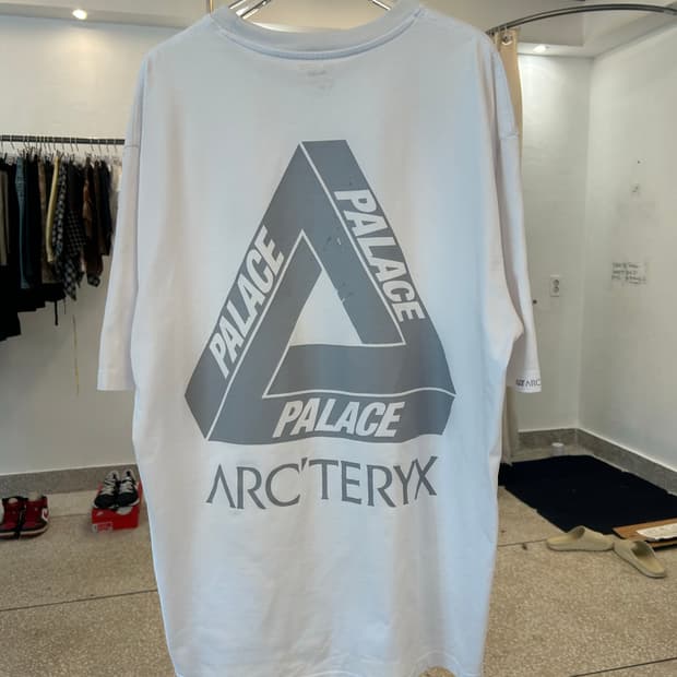 PALACE X ARC'TERYX t-shirt