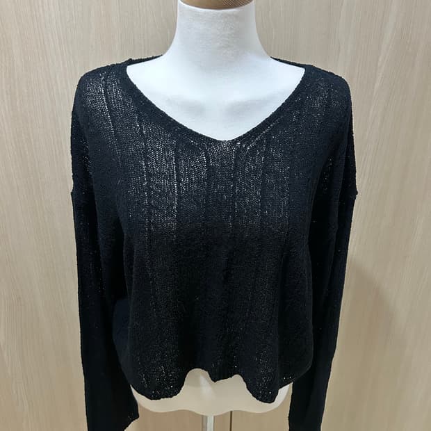 처분 긴팔티