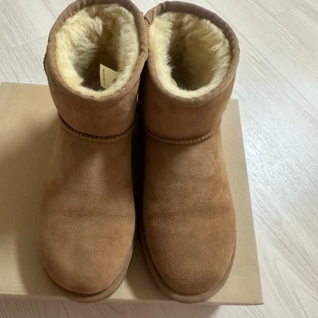 어그 미니2 체스트넛 240 