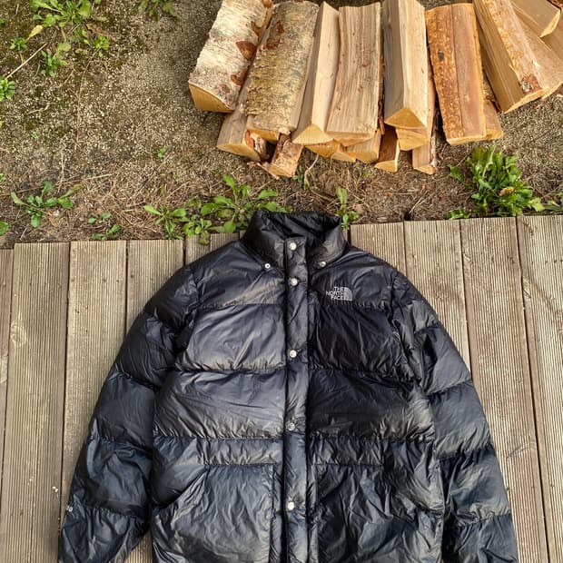 🌊TNF pertex quantum goose down