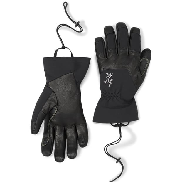 [L] 아크테릭스 로프 글러브 블랙 