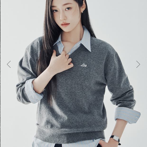 Lee 브이넥 니트