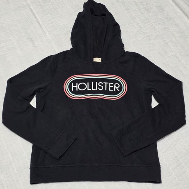 홀리스터 블랙 레인보우 후드티