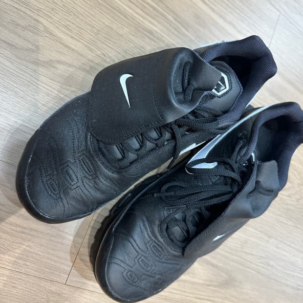 맥스플러스 티엠포