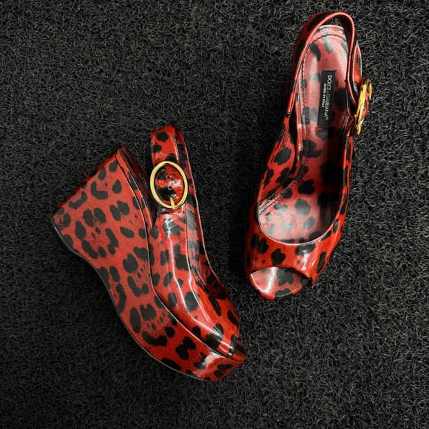 dolce & gabbana