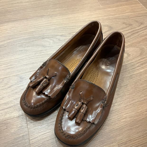 GH바스 테슬로퍼 브라운