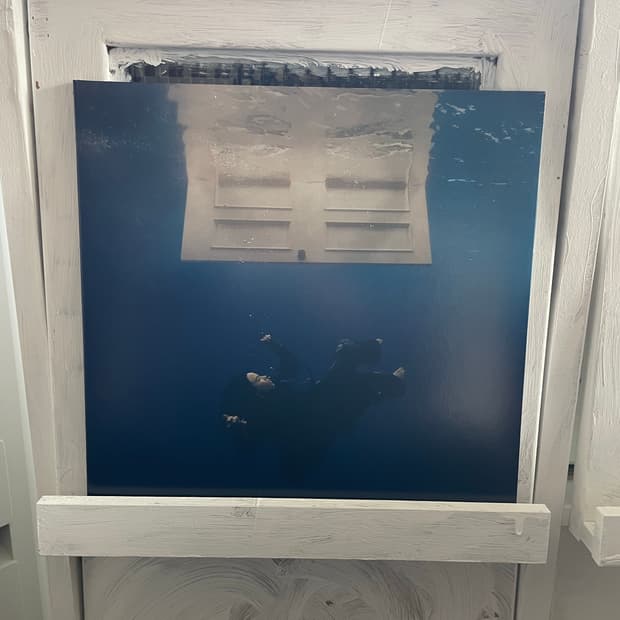 빌리 아일리시 LP