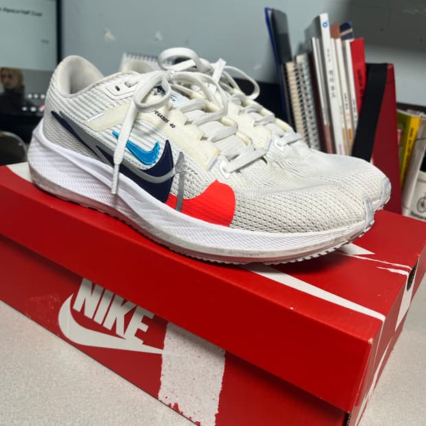 나이키 에어 줌 페가수스 40 런닝화 260