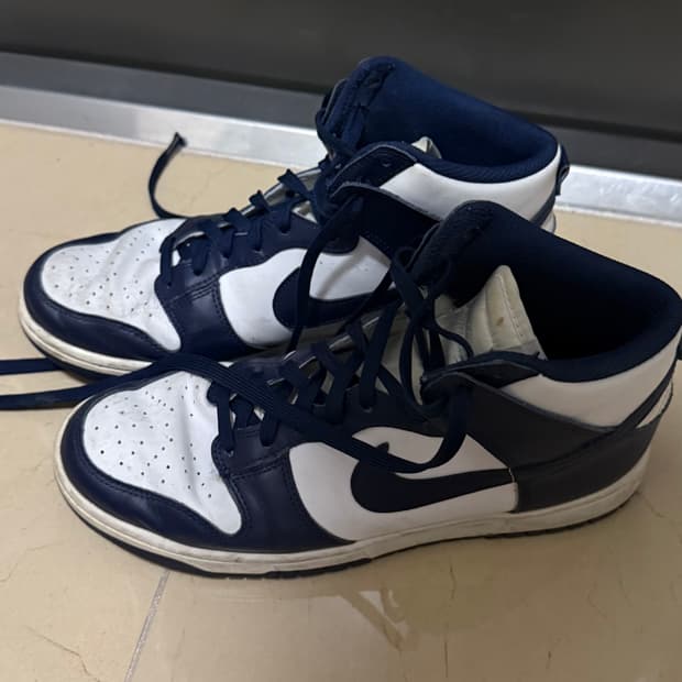 나이키 덩크 275