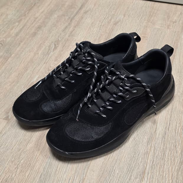 킨치 피노키 yang 313 270