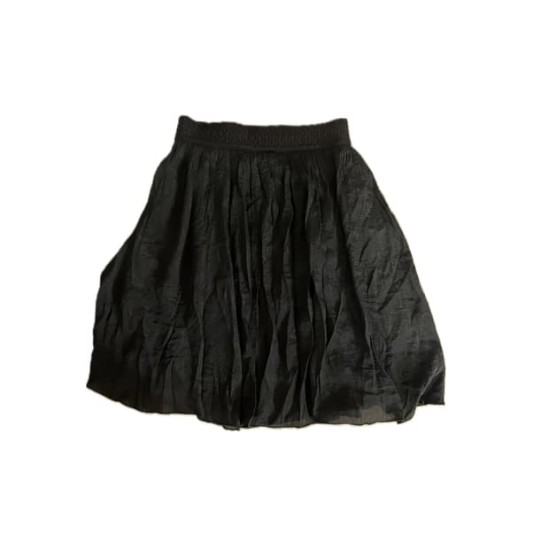 Black skirt