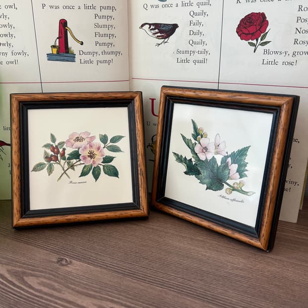 빈티지 보태니컬 꽃 액자 세트 